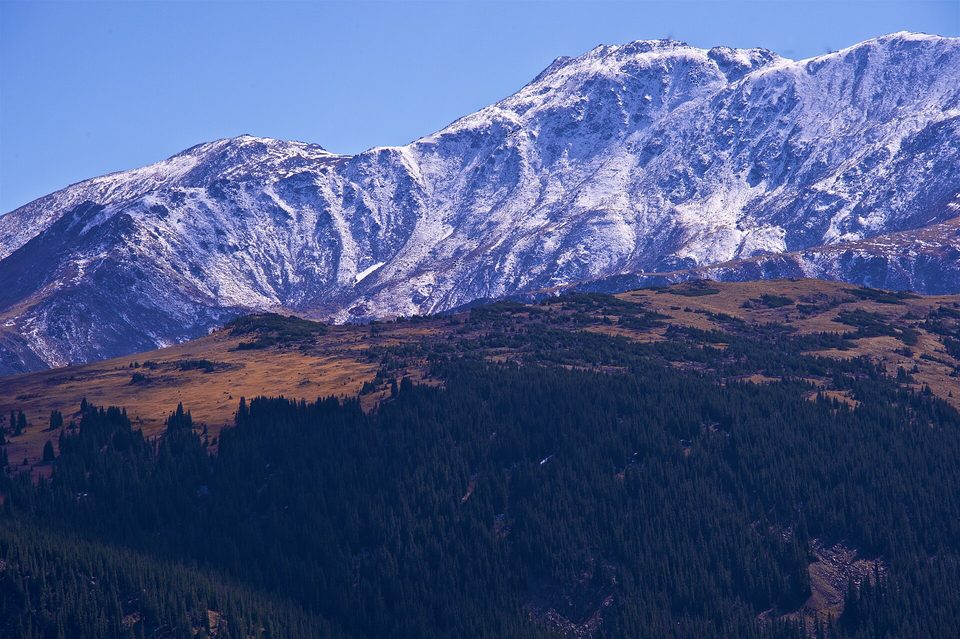 Snow-dusted Mount Massive ridgeline above golden tundra and dark forest, from Hagerman Pass