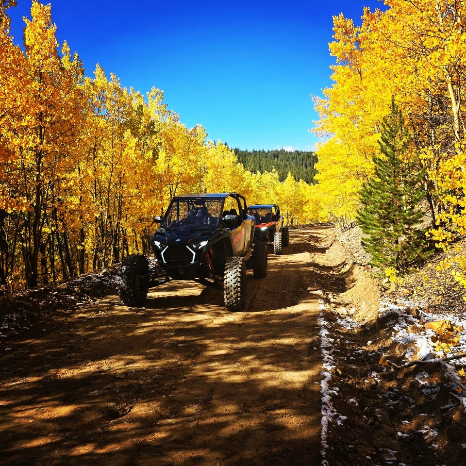 A black Polaris RZR leading another RZR along a dirt road between walls of golden fall aspens under a deep blue sky