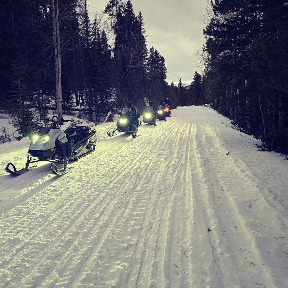 Two Ski-Doo snowmobiles parked on a groomed trail under a deep blue sky, snowy peaks behind the trees